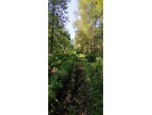 IMG 20200823 125255.jpg