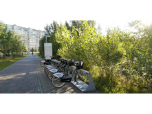 IMG 20200820 062326.jpg