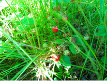 20200711 �� �������� 171545.jpg