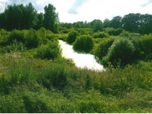 20200718 ��� ������� 164109.jpg