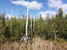 IMG 20200822 142908.jpg