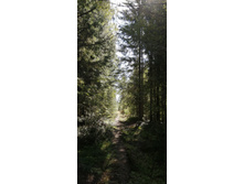 IMG 20200823 130405.jpg