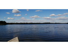 IMG 20200820 150849.jpg