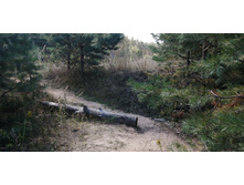 IMG 20200823 115543.jpg