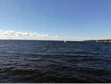 IMG 20200822 150900.jpg