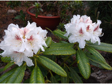 ����������� ����� ���������