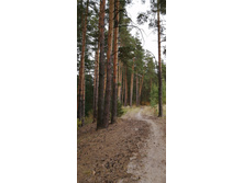 IMG 20200830 155237.jpg