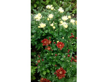 ��������� �������  � ������ 25-16