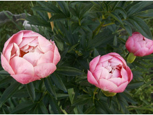 ���� ������ ������.JPG