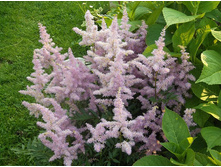 �������� �������