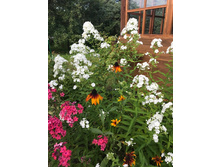 ������ ����� �����. �������. �������.