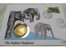 IMG 20200824 095041.jpg