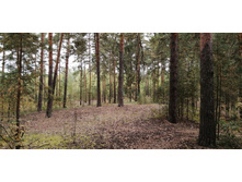 IMG 20200830 161318.jpg