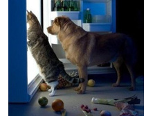 ���-�� ������� ����� �� ����� ...