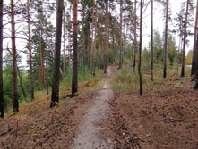 IMG 20200830 160547.jpg