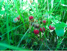 20200711 �� �������� 171817.jpg