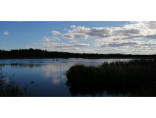 IMG 20200820 152826.jpg