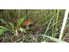 IMG 20200820 153251.jpg