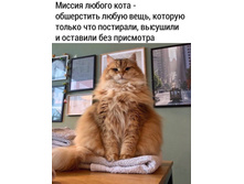 �������!