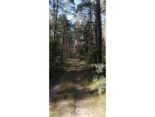 IMG 20200823 143015.jpg