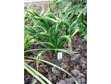 IMG 20200709 145501.jpg