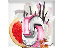 OMNIA PINK SAPPHIRE BVLGARI � � 65 �� 2300+%+����
