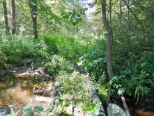 IMG 20200823 125004.jpg