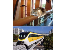 ������ ��� ...