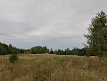 IMG 20200830 140417.jpg