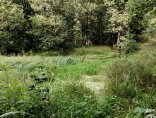 IMG 20200830 153852.jpg