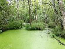 IMG 20200802 152407.jpg