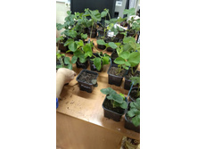 IMG 20200828 151737.jpg