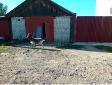 20200711 �� �������� 172734.jpg