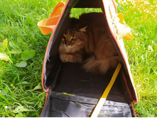 ��� ��� - ��� ��������!