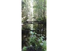 IMG 20200823 124915.jpg