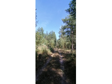 IMG 20200823 141352.jpg