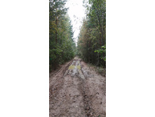 IMG 20200830 132539.jpg