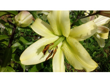 IMG 20200731 132816.jpg