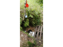 IMG 20200830 154933.jpg