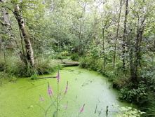 IMG 20200802 152457.jpg