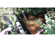 IMG 20200823 124811.jpg