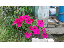 �2 � ��������� ������