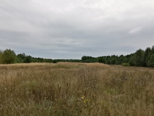 IMG 20200830 140430.jpg