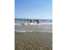IMG 20200804 095059.jpg