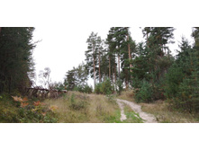 IMG 20200830 141821.jpg