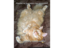 ������ �� ��������� ��� �� ������! �� ������ � ����� ������!