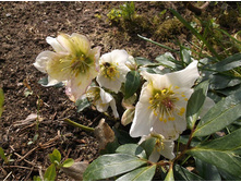 �������� ������