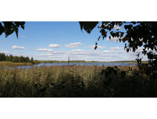 IMG 20200820 150140.jpg