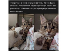 �������� �� ���� ����� ...