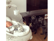 ����, �� ���� ����� ��� �� ������?